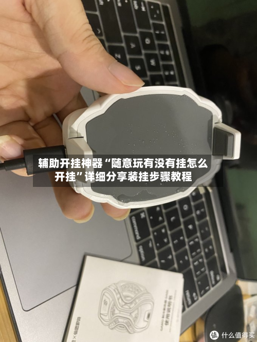 辅助开挂神器“随意玩有没有挂怎么开挂”详细分享装挂步骤教程-第2张图片