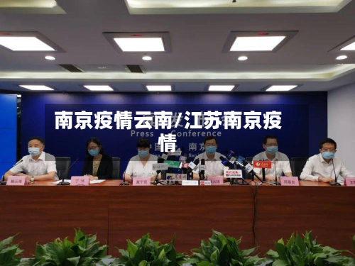 南京疫情云南/江苏南京疫情-第2张图片