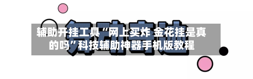 辅助开挂工具“网上买炸 金花挂是真的吗”科技辅助神器手机版教程-第2张图片