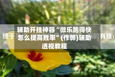 辅助开挂神器“微乐跑得快怎么提高胜率”(作弊)辅助透视教程