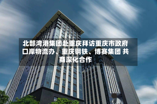 北部湾港集团赴重庆拜访重庆市政府口岸物流办、重庆钢铁、博赛集团 共商深化合作-第1张图片