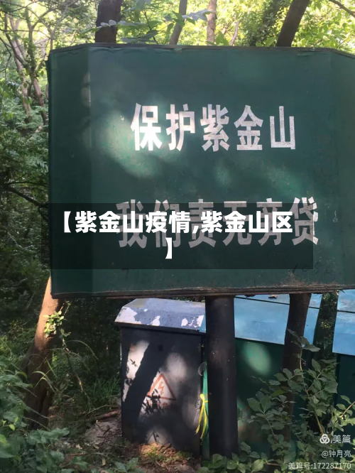 【紫金山疫情,紫金山区】