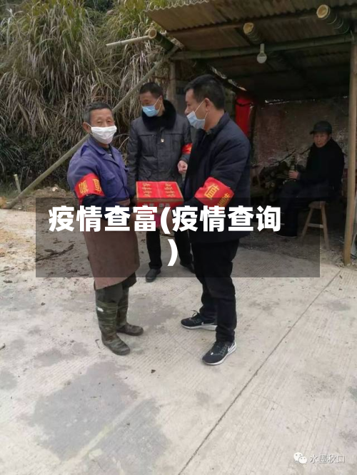 疫情查富(疫情查询)