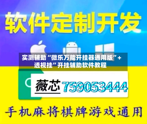 实测辅助“微乐万能开挂器通用版”+透视挂”开挂辅助软件教程-第2张图片