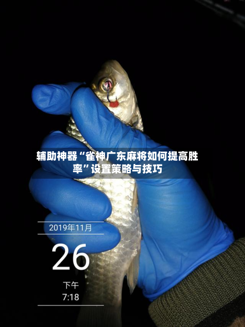 辅助神器“雀神广东麻将如何提高胜率”设置策略与技巧