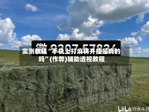 实测教程“手机上打麻将开挂是真的吗”(作弊)辅助透视教程