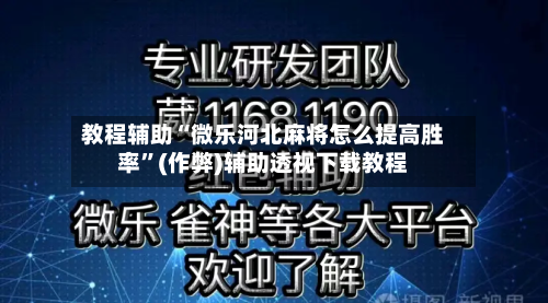 教程辅助“微乐河北麻将怎么提高胜率”(作弊)辅助透视下载教程-第3张图片