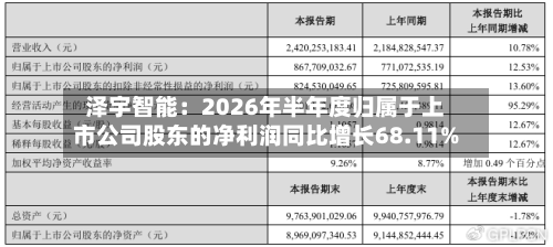 泽宇智能:2026年半年度归属于上市公司股东的净利润同比增长68.11%-第1张图片