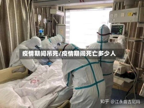 疫情期间吊死/疫情期间死亡多少人