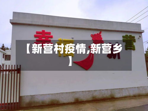 【新营村疫情,新营乡】