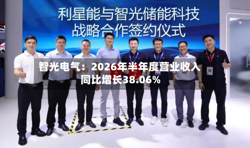 智光电气：2026年半年度营业收入同比增长38.06%-第1张图片