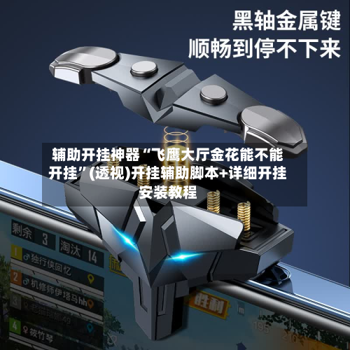 辅助开挂神器“飞鹰大厅金花能不能开挂”(透视)开挂辅助脚本+详细开挂安装教程