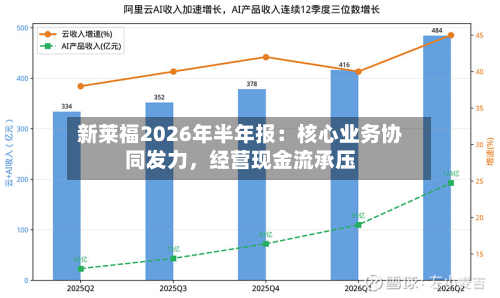 新莱福2026年半年报：核心业务协同发力，经营现金流承压-第3张图片