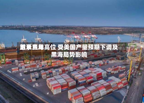 玉米费用触及三年高位 受美国产量预期下调及黑海局势影响