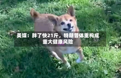 美媒：胖了快21斤，特朗普体重构成重大健康风险