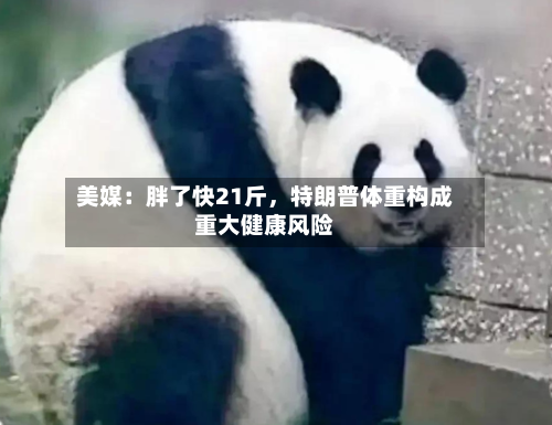 美媒:胖了快21斤,特朗普体重构成重大健康风险-第3张图片